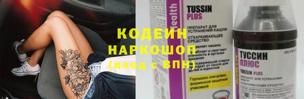 ешки Инсар