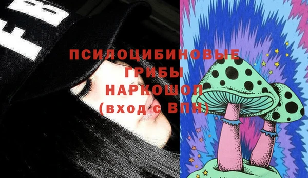 прущие грибы Зерноград