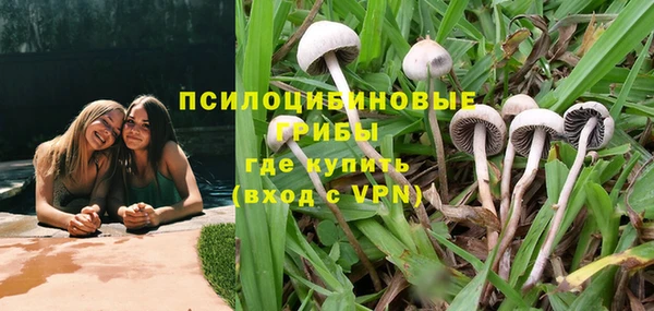 прущие грибы Зерноград