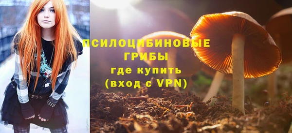 прущая мука Иннополис