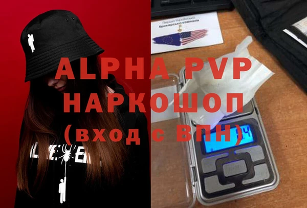 прущие грибы Зерноград