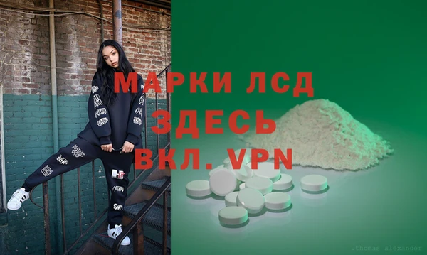 прущие грибы Зерноград