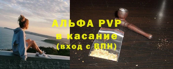 прущие грибы Зерноград