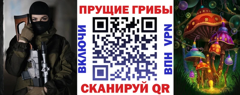 Купить где  Валдай  Галлюциногенные грибы MAGIC MUSHROOMS 